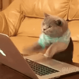 GIF einer Katze die wild auf eine Tastatur hackt